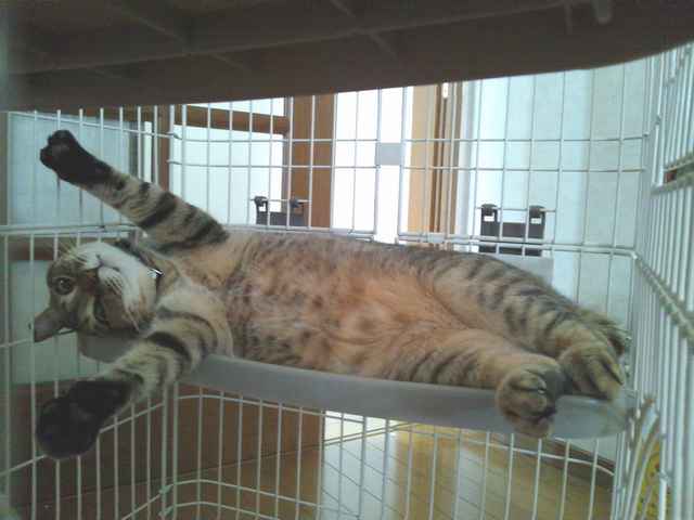 ���܂̕s������L