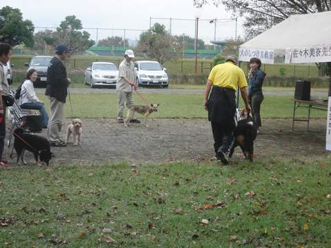 ���܂̕s������L