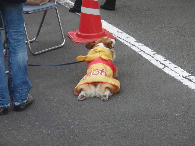 ���܂̕s������L