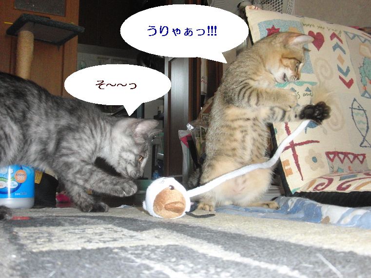 ���܂̕s������L