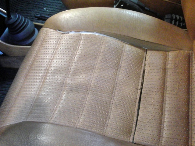 ���܂̕s������L