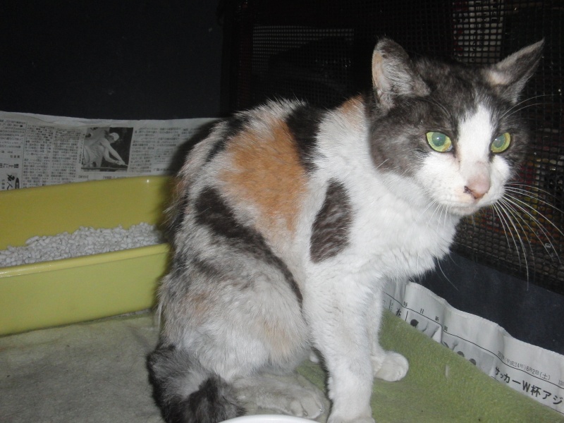 ���܂̕s������L