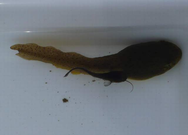 ���܂̕s������L