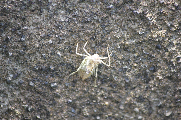 ���܂̕s������L