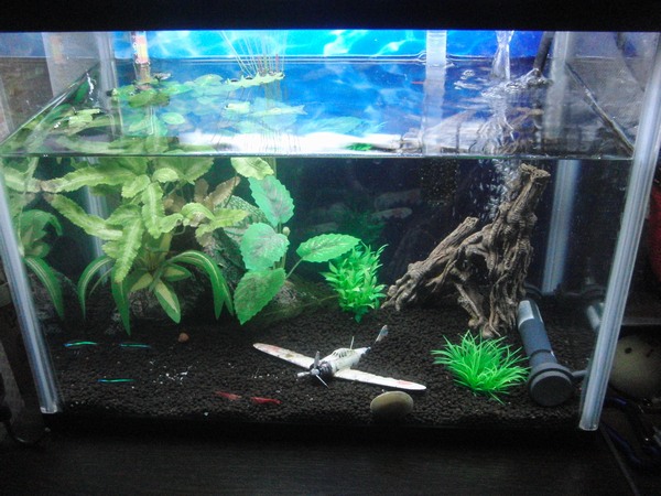 ���܂̕s������L