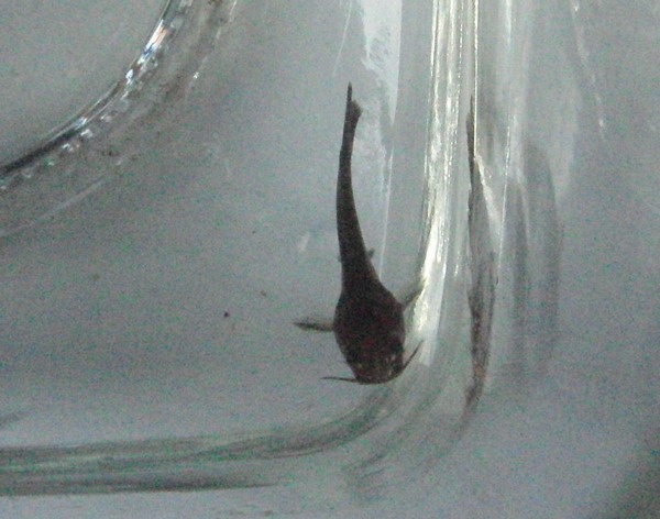 ���܂̕s������L