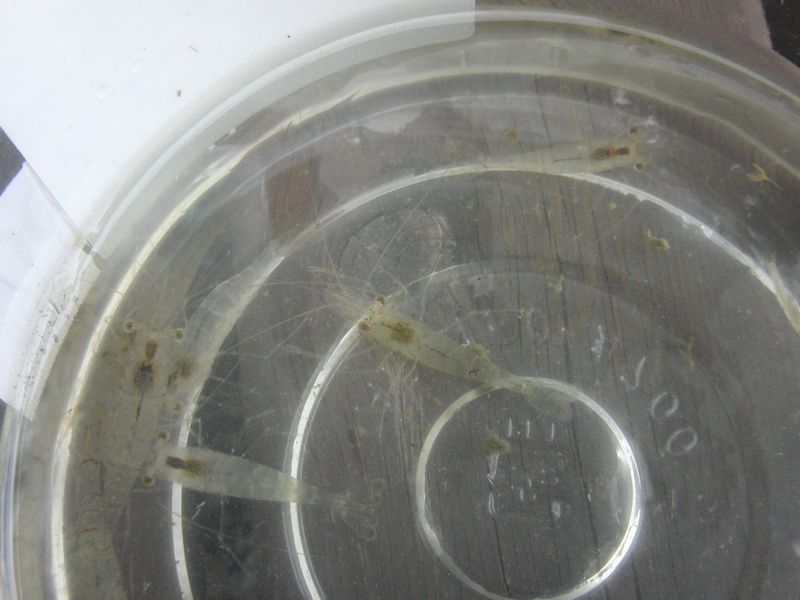 ���܂̕s������L