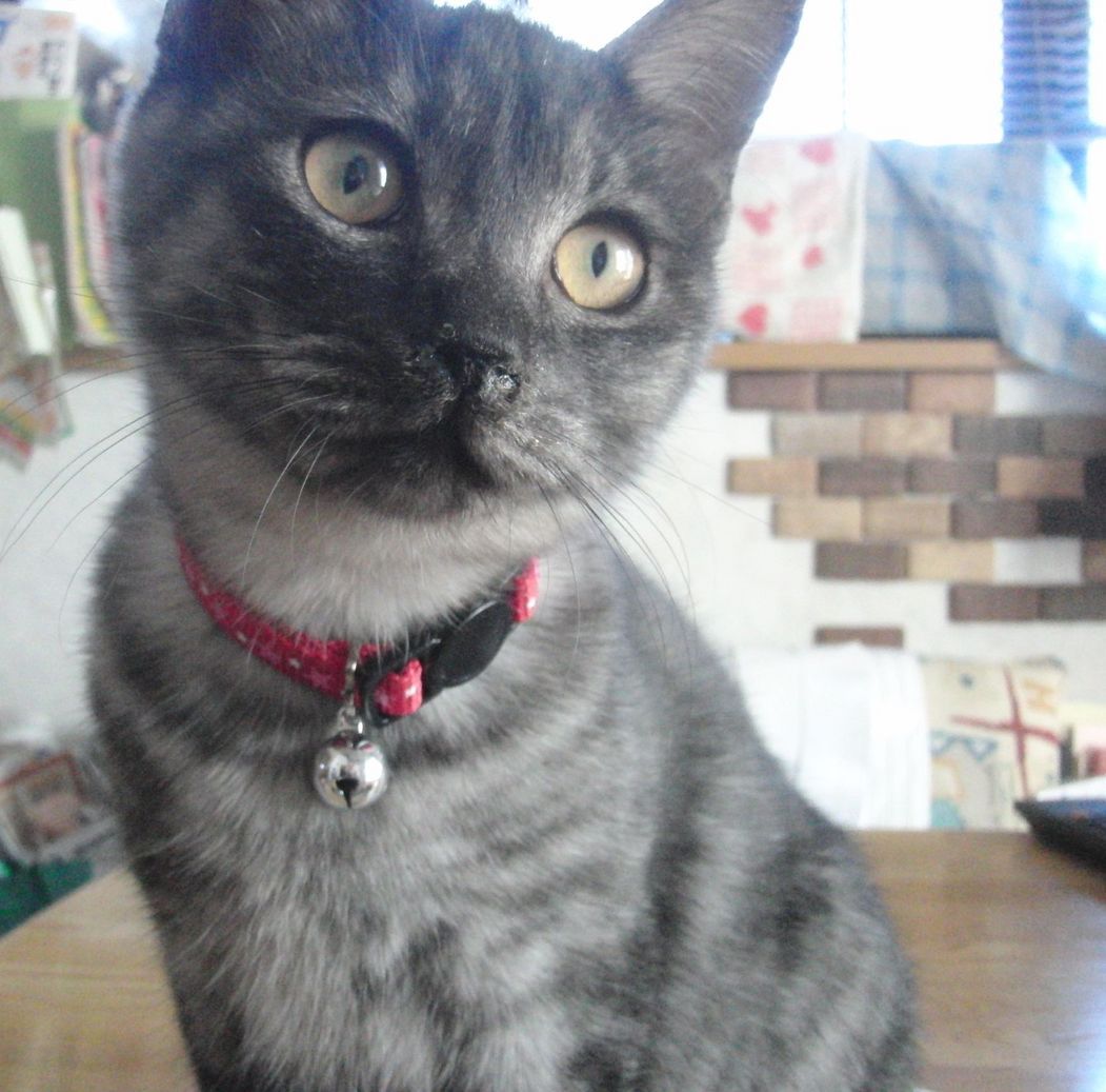 ���܂̕s������L