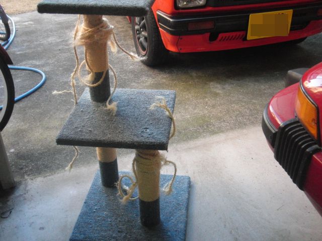 ���܂̕s������L