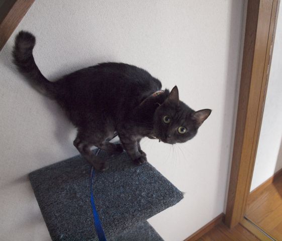 ���܂̕s������L