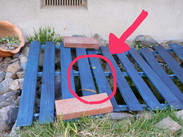 ���܂̕s������L