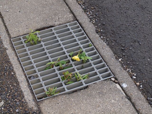 ���܂̕s������L