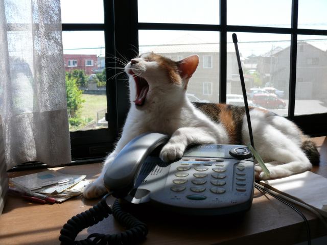 ���܂̕s������L