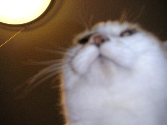 ���܂̕s������L