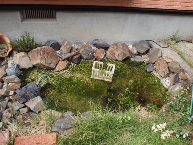 ���܂̕s������L