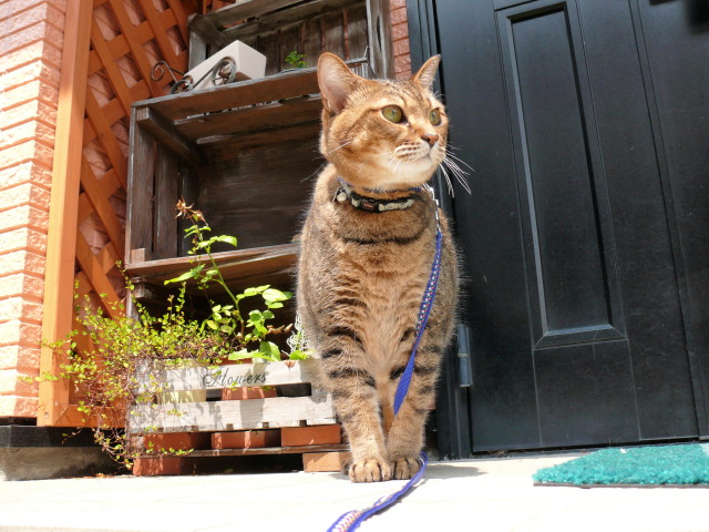 ���܂̕s������L