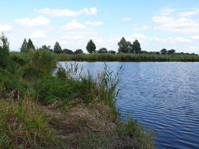 ���܂̕s������L