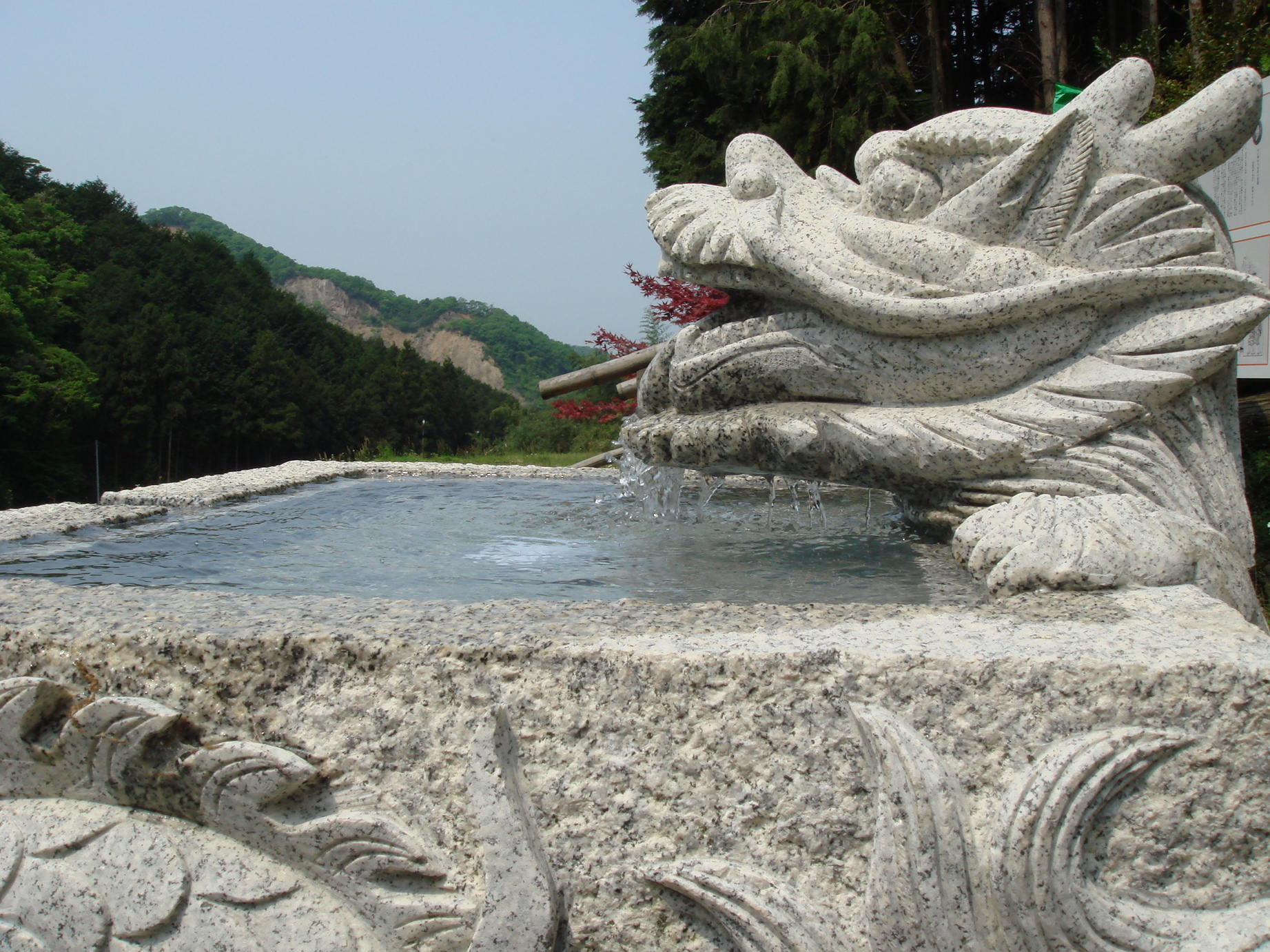 �䂽���̕���