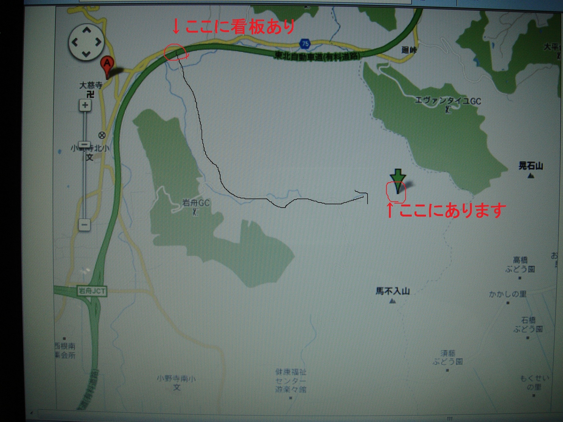 �䂽���̕���