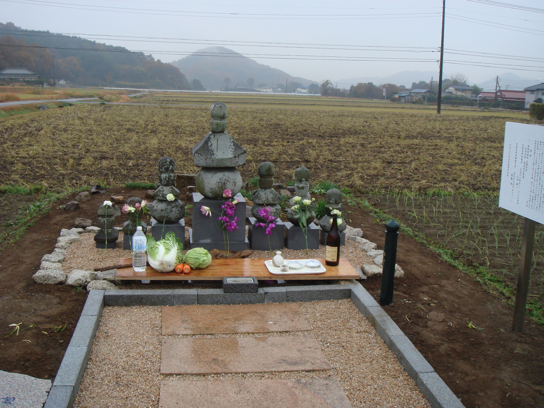 �䂽���̕���