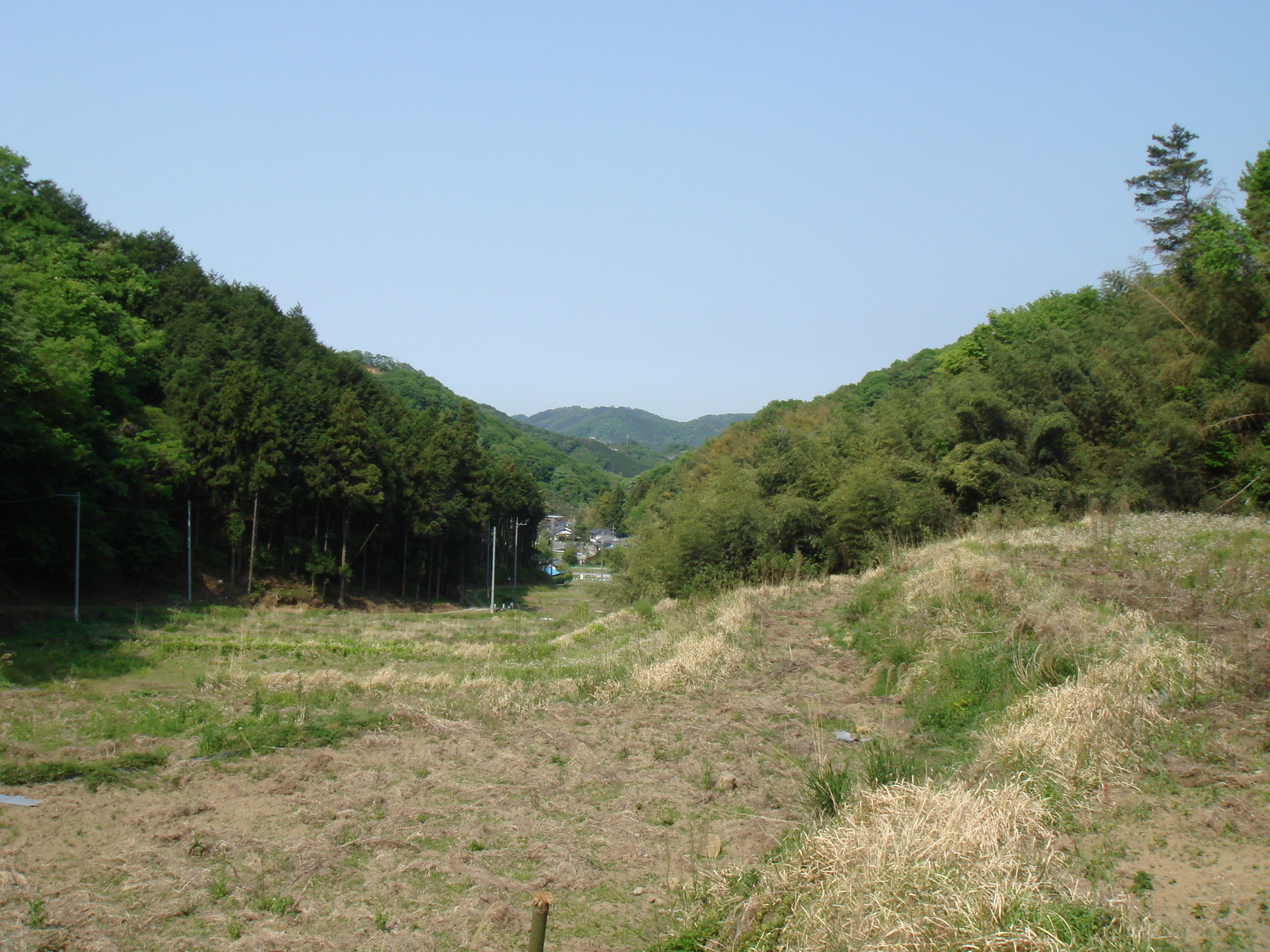 �䂽���̕���