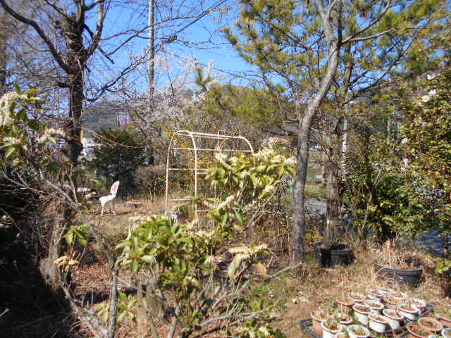 �R�쑐�u�����̗��v