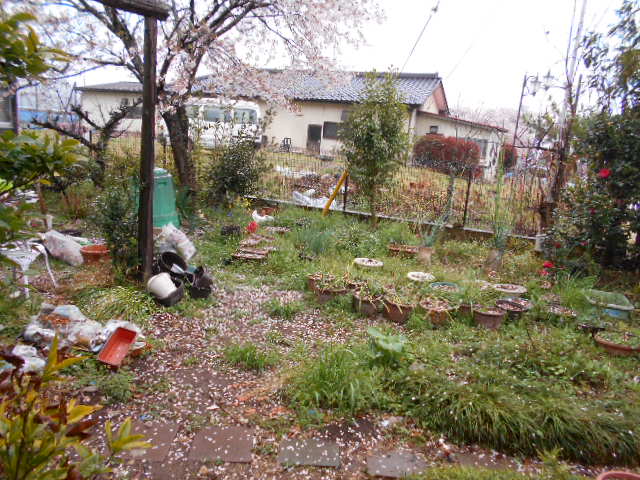 �R�쑐�u�����̗��v