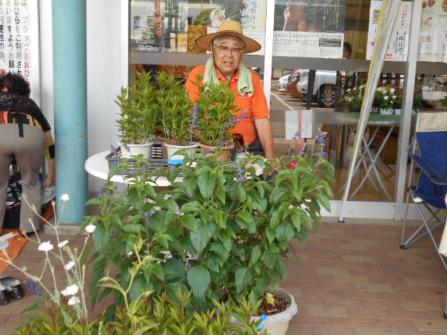 �R�쑐�u�����̗��v