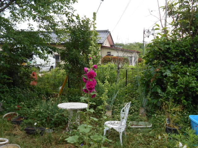 �R�쑐�u�����̗��v