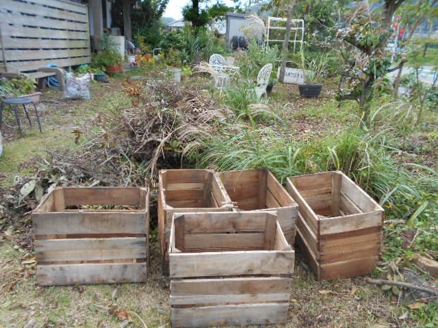 �R�쑐�u�����̗��v