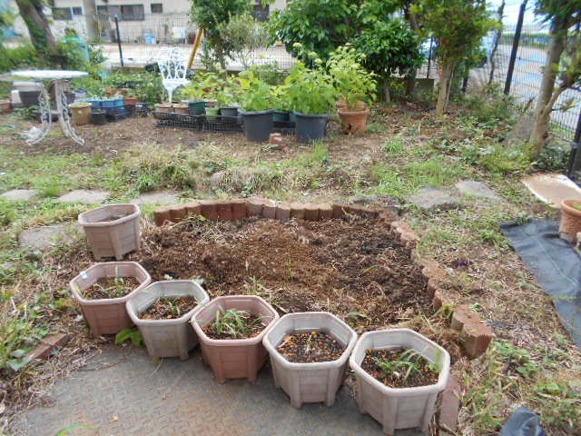 �R�쑐�u�����̗��v