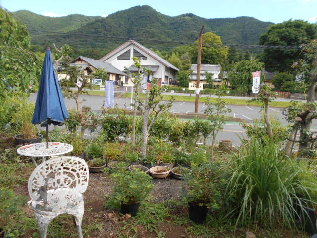 �R�쑐�u�����̗��v