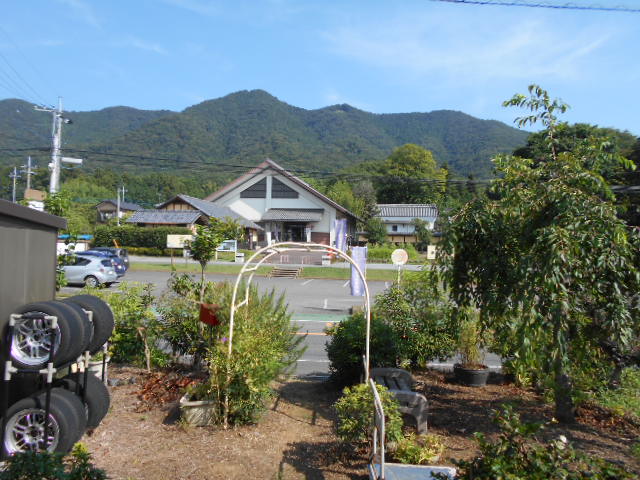 �R�쑐�u�����̗��v