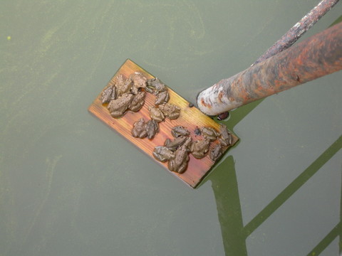 ���؂܂�I�s