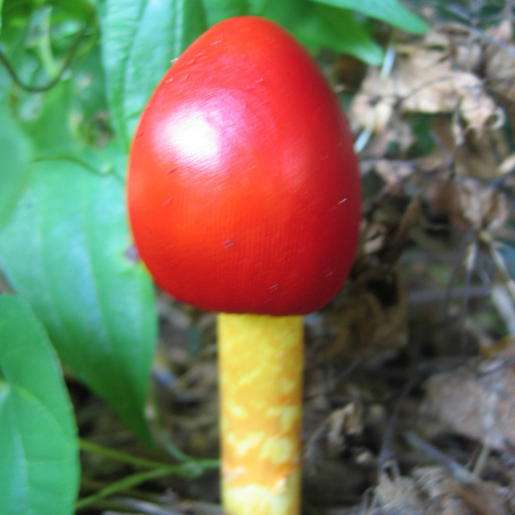 invalid target parameter