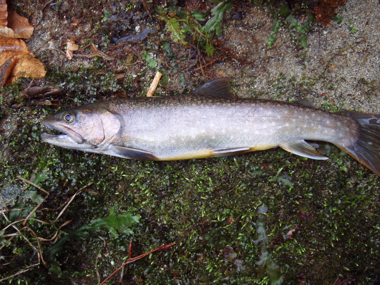 ��̃y�[�W