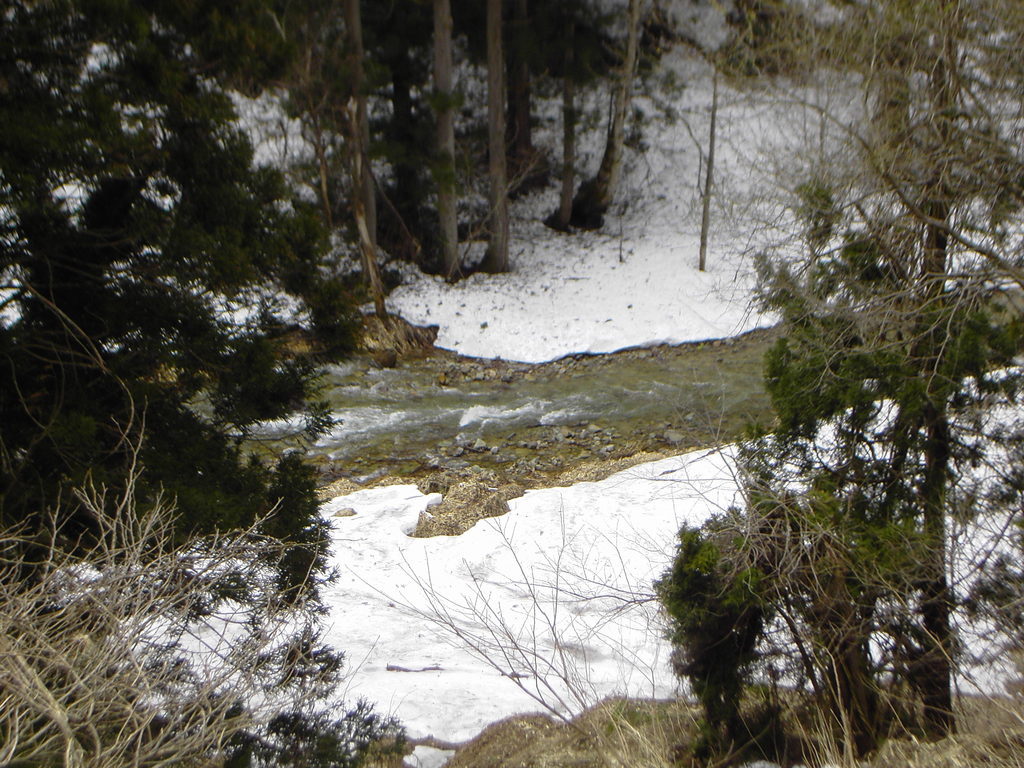 ��̃y�[�W