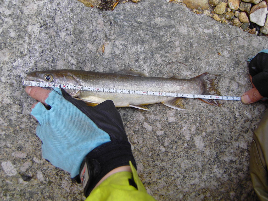 ��̃y�[�W