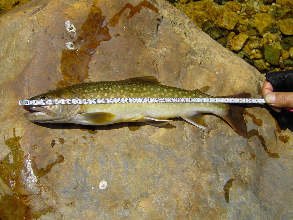 ��̃y�[�W