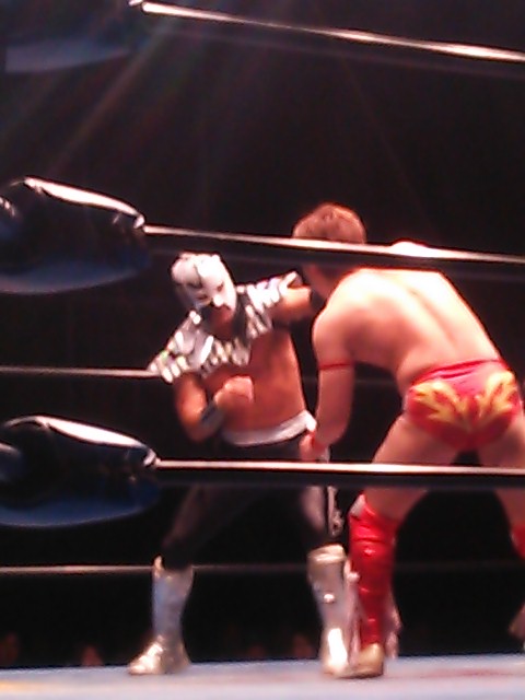 �ᑺ�D�̃v�����X���L