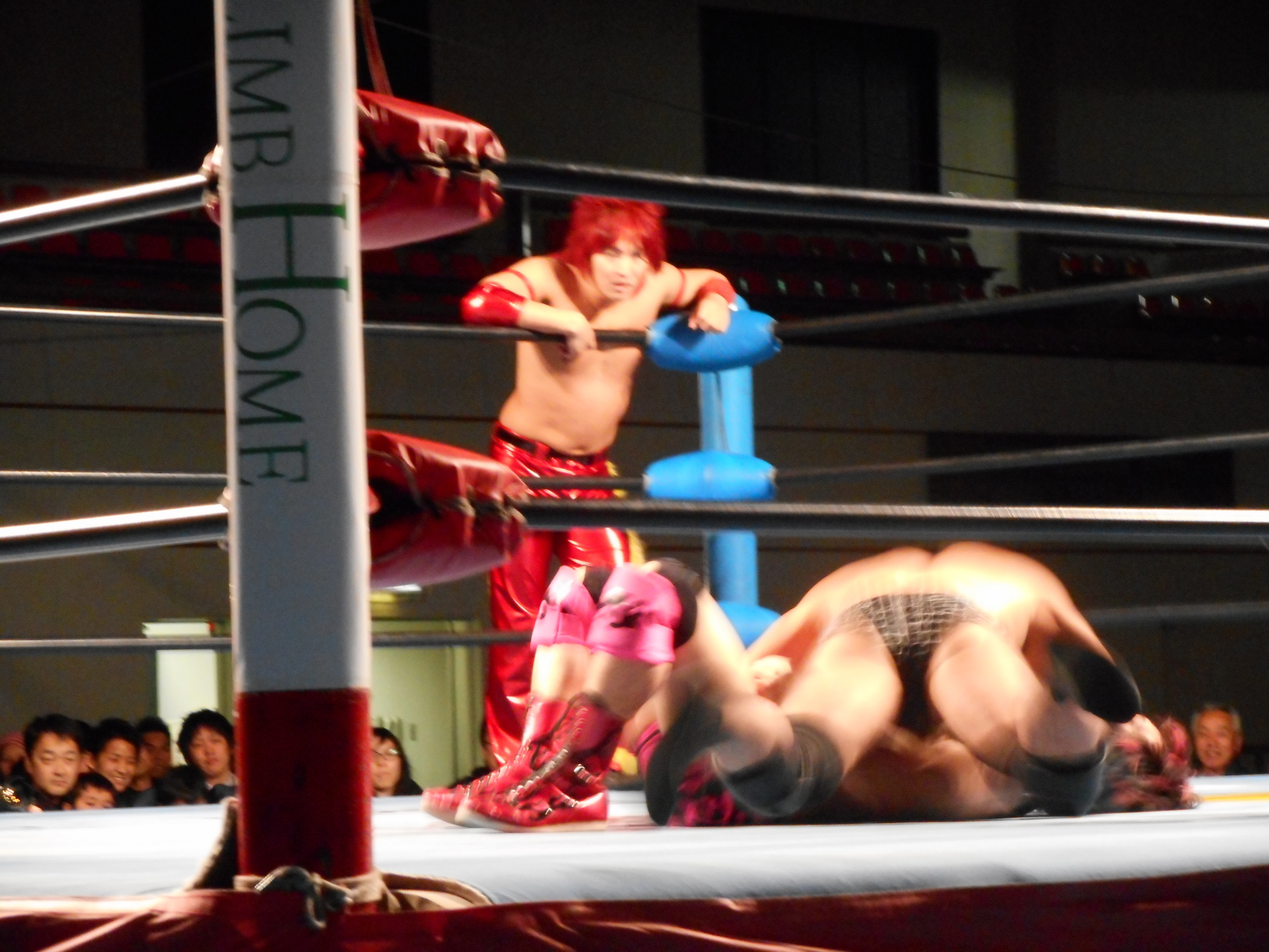 �ᑺ�D�̃v�����X���L