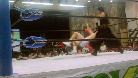 �ᑺ�D�̃v�����X���L