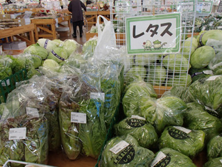 ����烊�|�[�^�[�̂���炩�ȓ��X