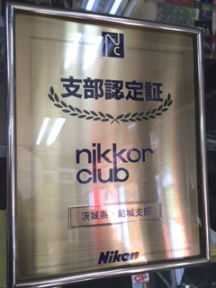 ����烊�|�[�^�[�̂���炩�ȓ��X