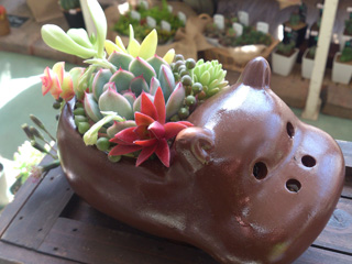 ����烊�|�[�^�[�̂���炩�ȓ��X