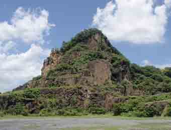 ����烊�|�[�^�[�̂���炩�ȓ��X