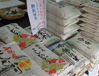 ����烊�|�[�^�[�̂���炩�ȓ��X