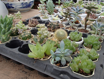 ����烊�|�[�^�[�̂���炩�ȓ��X