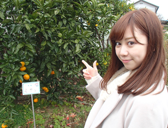 ����烊�|�[�^�[�̂���炩�ȓ��X