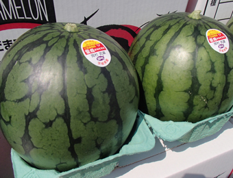 ����烊�|�[�^�[�̂���炩�ȓ��X